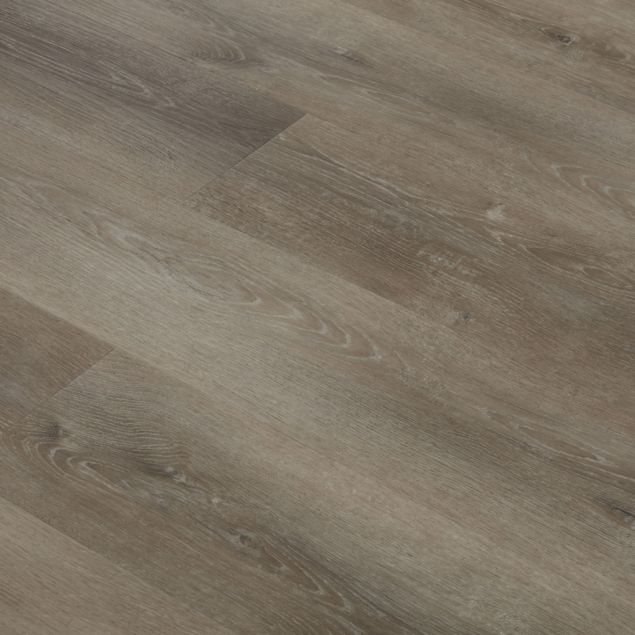 Endura Andicuri Dryback Angle